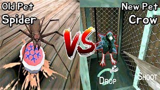 New Pet Crow vs Old Pet Spider || Granny's Pet Battle || Horror Game - 그래니 펫: 거미 vs 까마귀 배틀