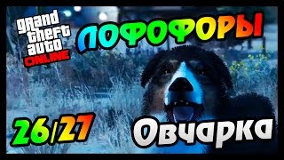 GTA 5 PS4 ЛОФОФОРЫ - ОВЧАРКА (+Карта)(26/27)