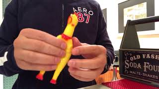 Brinquedo Pet Frango de Silicone para Cães