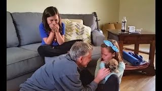 "Puppy Surprise Reactions - Tears of Joy" || CFS (2017)