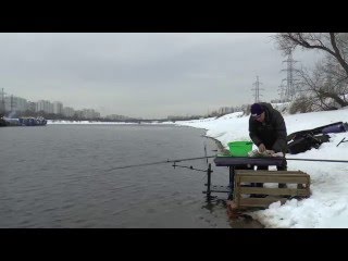 ловля плотвы ранней весной