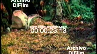 DiFilm - Cultivos de Coca en Colombia (1995)