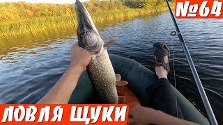 ТАКИХ НА УДОЧКУ Я НЕ ЛОВИЛ! ЩУКА НА ПОПЛАВОК!