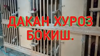ДАКАН ХУРОЗ БОКИШ.