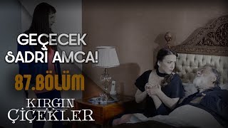 Kader, dedesini kurtarıyor! - Kırgın Çiçekler 87.Bölüm