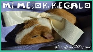 KINTARO ES MI MEJOR REGALO / COBAYA A LOS 12 DÍAS DE UN LIMADO DENTAL POR SOBRECRECIMIENTO