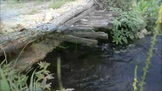 село Кривец (Краснозоренского района Орловской области), июль 2017