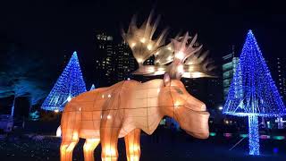 Merry Christmas ！聖誕快樂！2020台灣燈會 璀璨台中 文心森林公園展區（Taichung Taiwan)。大蔚阿昌(David Liao)