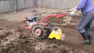Фрезеровка почвы мотоблоком Беларус-09Н МТЗ фрезой ФР-00010