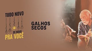 Tudo novo de novo | Sr. Freitas