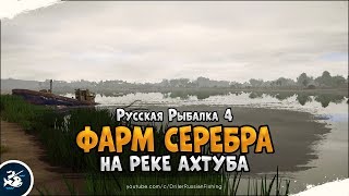 Лещ и Сазан на реке Ахтуба. Русская Рыбалка 4