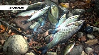 Рыбалка на реке Лава, Калининградская область. Fishing. L-Minnow 44