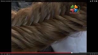 Прически с косичками. Как заплести колосок.Видеоурок