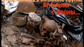 Подъём советских солдат, погибших в Восточно-Прусской операции в 1944-м! 18+  Коп по войне