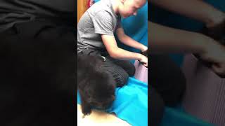 Шпицы померанские чёрные с белым