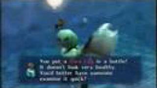 Majora Mask 34 All the Eggs Collected