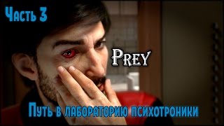 Прохождение Prey 2017   №3   Путь в лабораторию психотроники