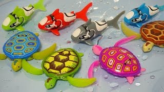 Robo fish plays toys - Shark , Turtle 로봇피쉬 상어 꼬마거북이 물놀이 목욕놀이 장난감