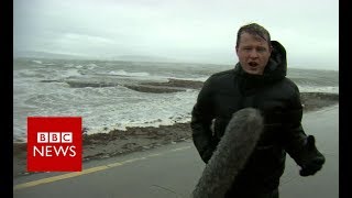 Hurricane Ophelia: Three people die as storm hits Ireland - BBC News