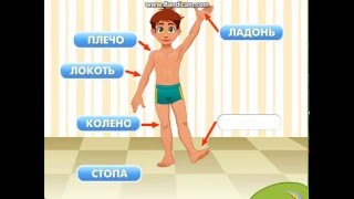 Развивающие игры для детей!Тело человека.