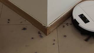MClimate Maya: Corner Cleaning Mode - Maya Robot Vacuum Cleaner with HD Camera and App