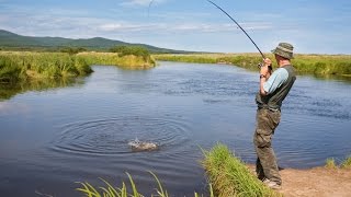 Рекордная рыбалка в Краснодарском крае! Выселковский район, река Гаджировка!