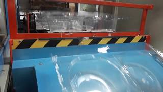 Termoformadora Renamak modelo TFC 6585