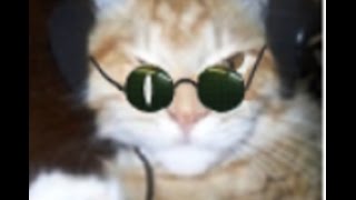 DOPPELGANGER 7.64 / "ЗАГАДКИ СЕВЕРНЫХ ТЕРРИТОРИЙ" - Экскурсия по Таинственному кордону