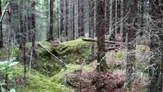 Veikko Ahvenainen.....Elämää juoksuhaudoissa