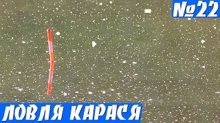 Карась на поплавок весной. Скоро на всех водоемах!
