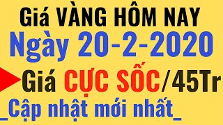 Giá VÀNG Hôm Nay ngày 20/2/2020 Cao trên 45triệu, SJC PNJ DOJI 24K 9999 tỷ giá USD ngoại tệ