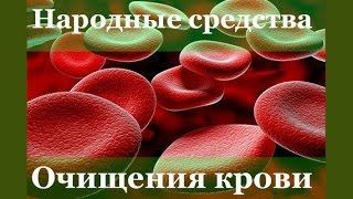 Доктор Увайдов. Очищение крови от токсинов или как очистить кровь
