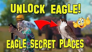 HOW TO GET BIRD/EAGLE IN PUBG MOBILE | SECRET LOCATION OF companion in PUBG| Get Falcon