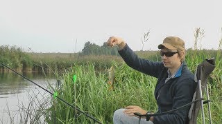 Рыбалка на Рязанской ГРЭС  02.09.2017.