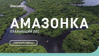 Амазонка: плавающий лес | Неизведанные острова
