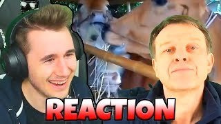 MUCCHE PEGGIO DEL CORONAVIRUS - Reaction ai Video di Presentazione