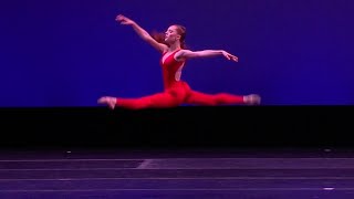 Andrea Allmon - Zheng Concerto