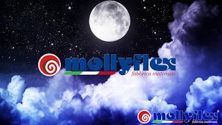Этот матрас любят в Беларуси. Trilogy от производителя Mollyflex