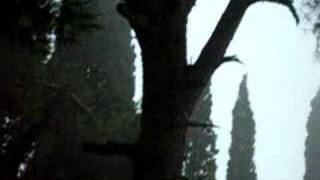 гора Фавор 19.08.2006 Облако m. Tabor, Transfiguration