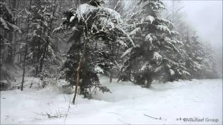 吹雪60min/Snowstorm/Healing,Relaxing,Sleep Sounds