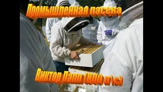 Виктор Папп. (ч.1) Семинар "Промышленное пчеловодство". Днепр