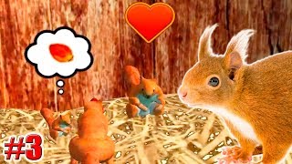 КАК СОЗДАТЬ СЕМЬЮ?!! СИМУЛЯТОР БЕЛКИ! Squirrel Simulator Игры на Андроид питомец 3 серия