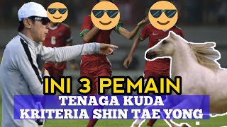Ini 3 Pemain Timnas Tenaga Kuda Kriteria Shin Tae Yong?