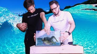 ЧТО ВНУТРИ АКВАРИУМА ЧЕЛЛЕНДЖ! НЕ СУЙ ТУДА РУКУ, ОНО СОЖРЕТ ТЕБЯ! ( ЖЕСТЬ )