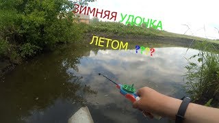 ЛОВЛЯ ЛЕТОМ НА ЗИМНЮЮ УДОЧКУ | ПОЛ МЕТРА ОТ БЕРЕГА
