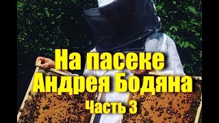 На пасеке Андрея Бодяна -Летний визит /Медогонка Цех Платформа Цена меда /Часть третья/