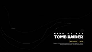 Rise of the Tomb Raider - DirectX12 - Default [High] - on MSI GTX 960 + i3 4170 + Corsair 16GB