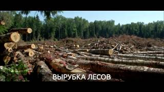 Экологические проблемы