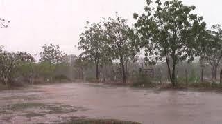 Chuva no Sertão