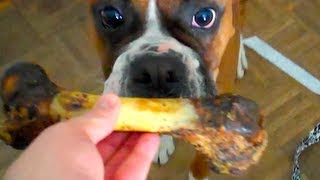 GIVE ME MY BONE